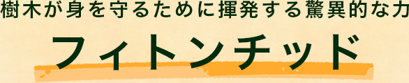 樹木が身を守るために揮発する驚異的な力「フィトンチッド」